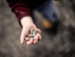Hilangkan Rasa Mau Berak dengan Mengantongi Batu! Mitos Atau Fakta