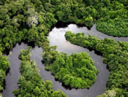 Bukan Hanya Anaconda, Beginilah Fakta-fakta Misteri Hutan Amazon